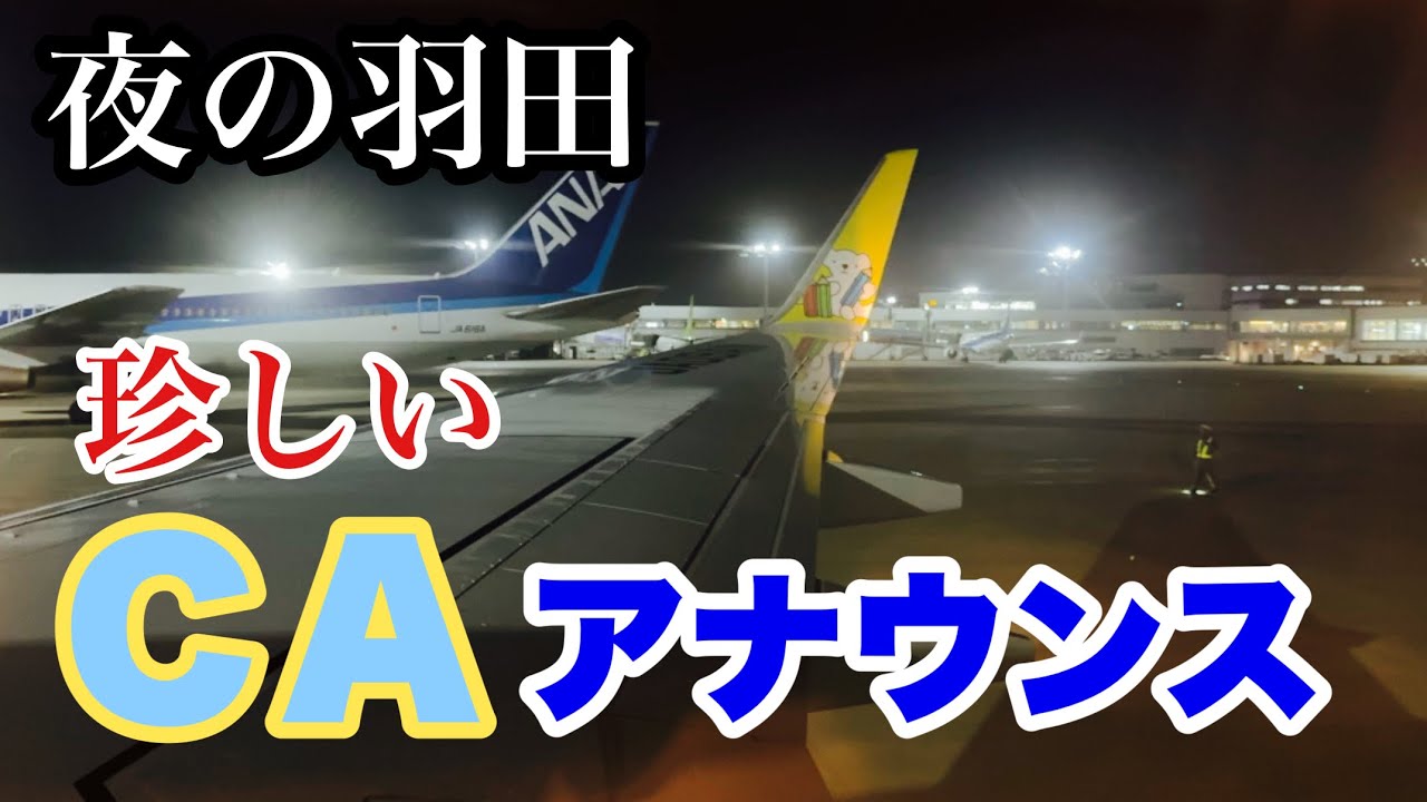 珍しい！ 男性CAの声に癒される｜羽田空港の夜景とともにお届けするAIRDO便【HIDE-KIX】
