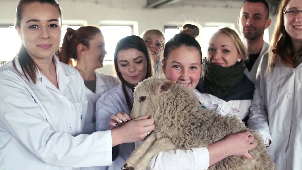 The best by NATURE! University of Agriculture in Krakow (Poland)