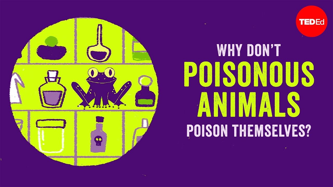 Why don’t poisonous animals poison themselves? - Rebecca D. Tarvin