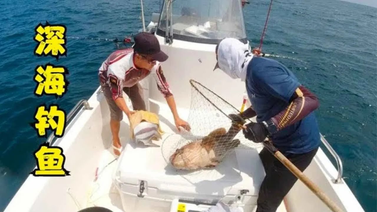 深海钓鱼就是不一样，全船轮流中大鱼，鱼获直接钓满仓【钓鱼大锋子】