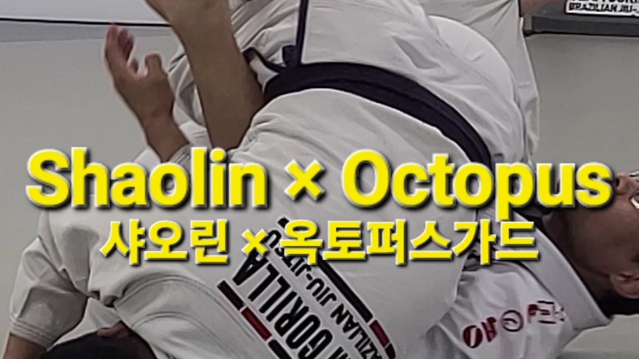 샤오린 X 옥토퍼스가드 Shaolin x Octopus Guard (기술도움 : 김정주) #샤오린 #옥토퍼스가드 #shaolin #octopusguard