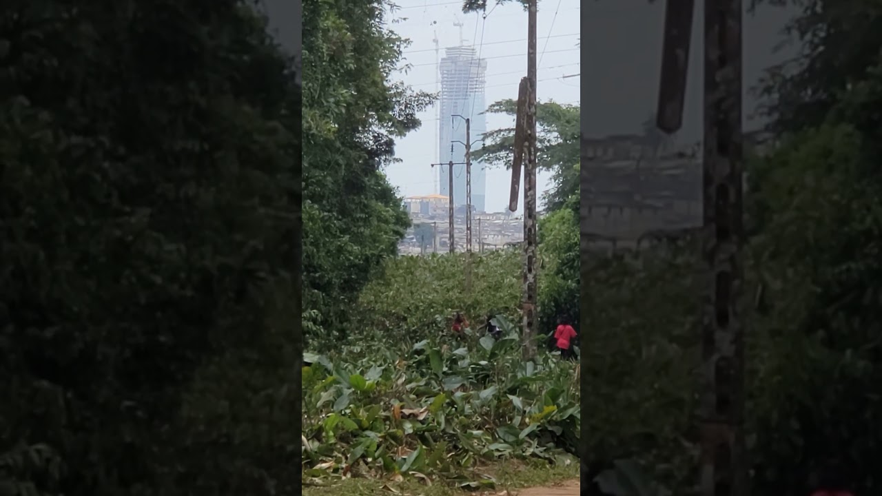 Tower F as seen from Banco National Park. #TourF #BancoF&ocirc;ret #cotedivoire #forest #skyline #Banco