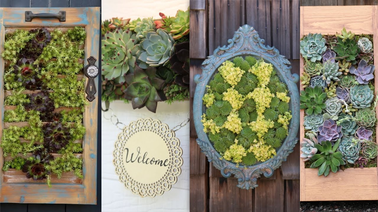 4 Vertical Succulent Arrangement Ideas! 🌿