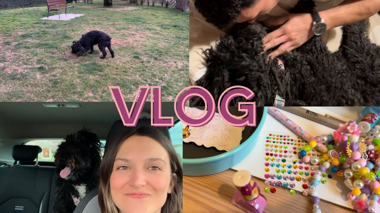 LLEGADA DE NOA AL NUEVO HOGAR 🏡🐶- Un poco de finde+ LA LLEGADA|Os hago feedback de la situación🤭
