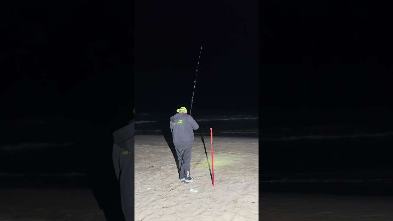 Mormora a 40 mt in Otg #surfcasting #fishing #pescasub #carpfishing #viralshort #fish