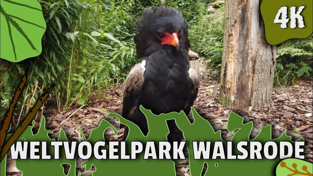 Weltvogelpark Walsrode - RELAXING SIGHTSEEING