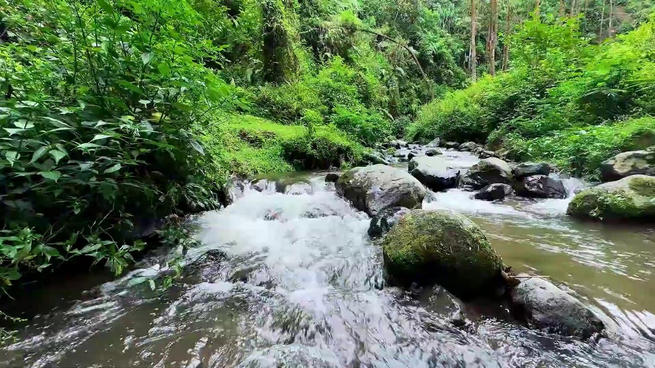 Soft river sound by soft moving forest water letting deep sleep stay smooth comfortable and quiet