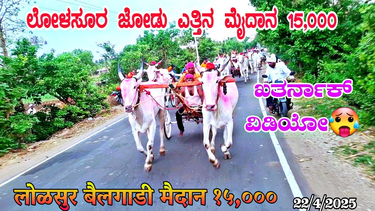 ಗೋಕಾಕ ಲೋಳಸೂರ ಜೋಡು ಎತ್ತಿನ  ಮೈದಾನ 15,000 |गोकाक लोळसुर बैलगाडी  मैदान १५,००० #lolasoor 22/4/2025