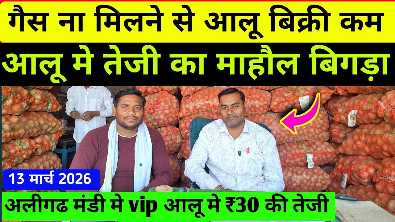गैस ना मिलने से आलू मे संकट | आलू दागी होने से भी परेशानी बढ़ी |आज का आलू भाव | real farmer education