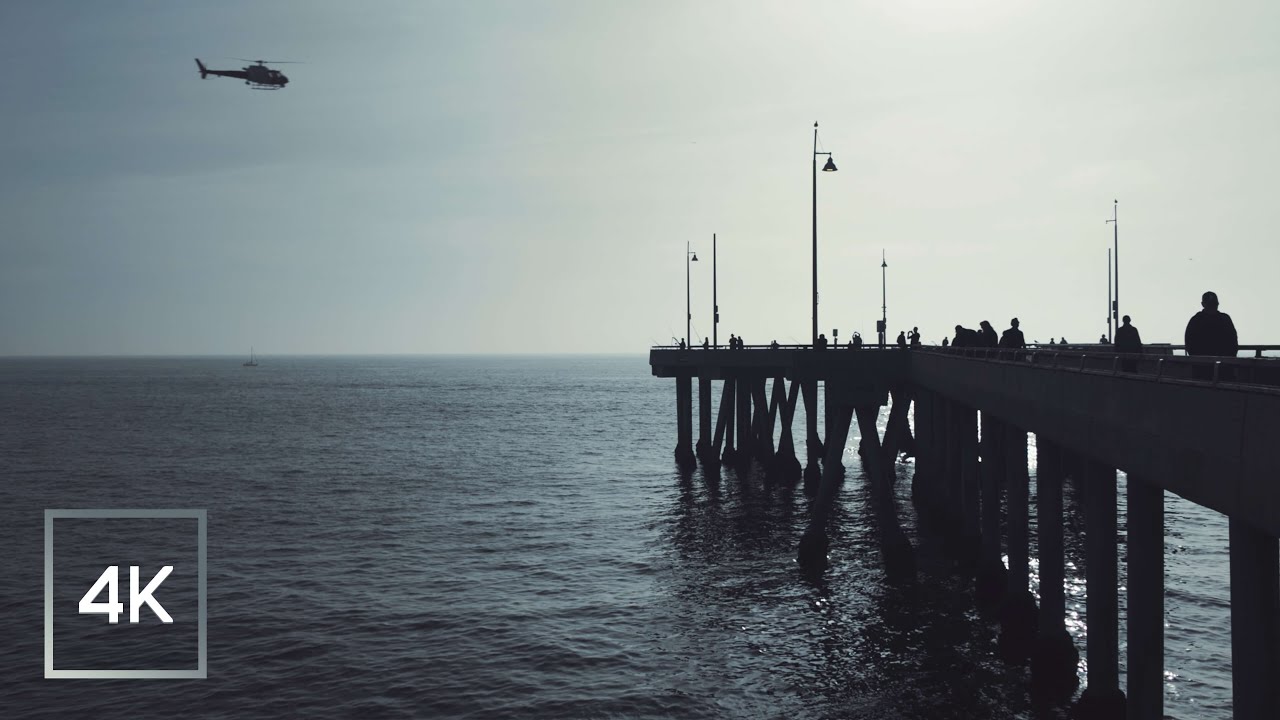 Static View: Venice Beach Pier — Silhouettes & Ocean Ambience (No Commentary, 4K)