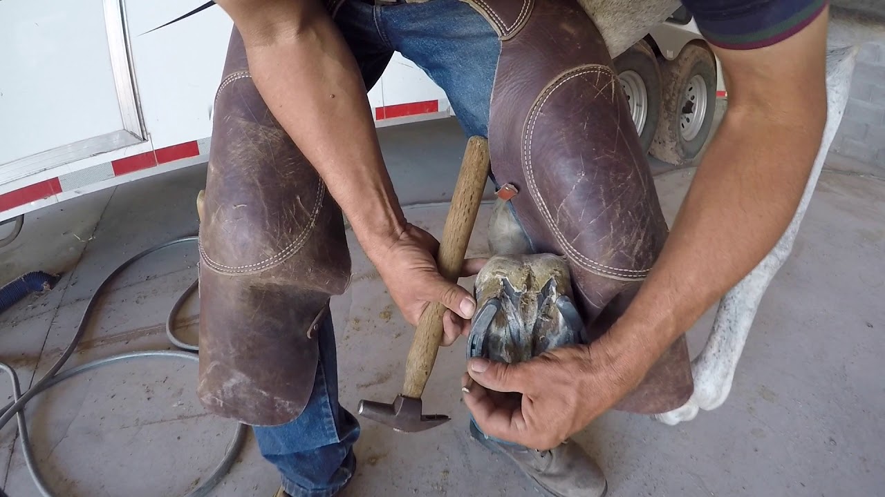 COMO CLAVAR LAS HERRADURAS DE UN CABALLO/HOW TO NAIL A HORSESHOE