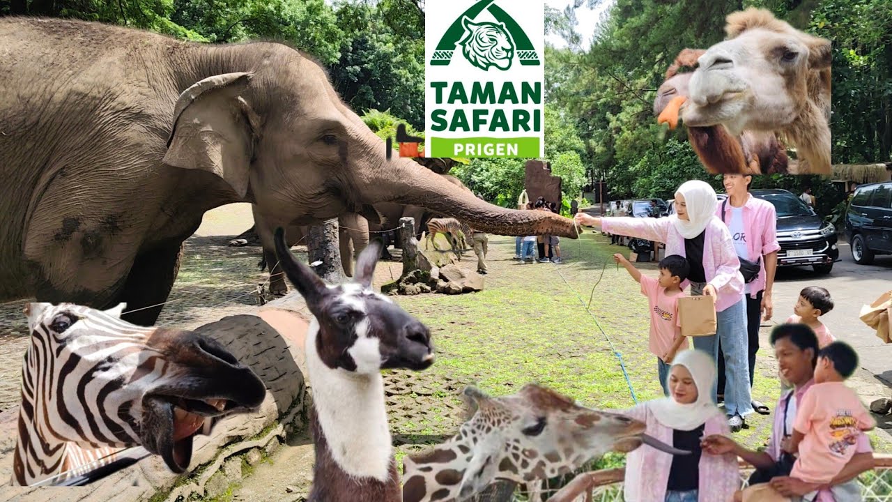 TAMAN SAFARI PRIGEN JAWA TIMUR 2026 TERBARU || Part 1