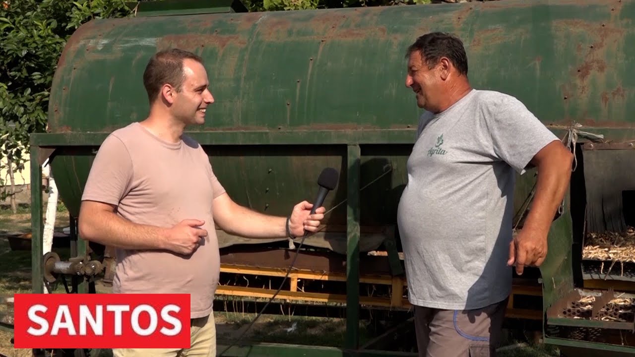 PROIZVODNJA PASULJA U RAVNOM TOPOLOVCU