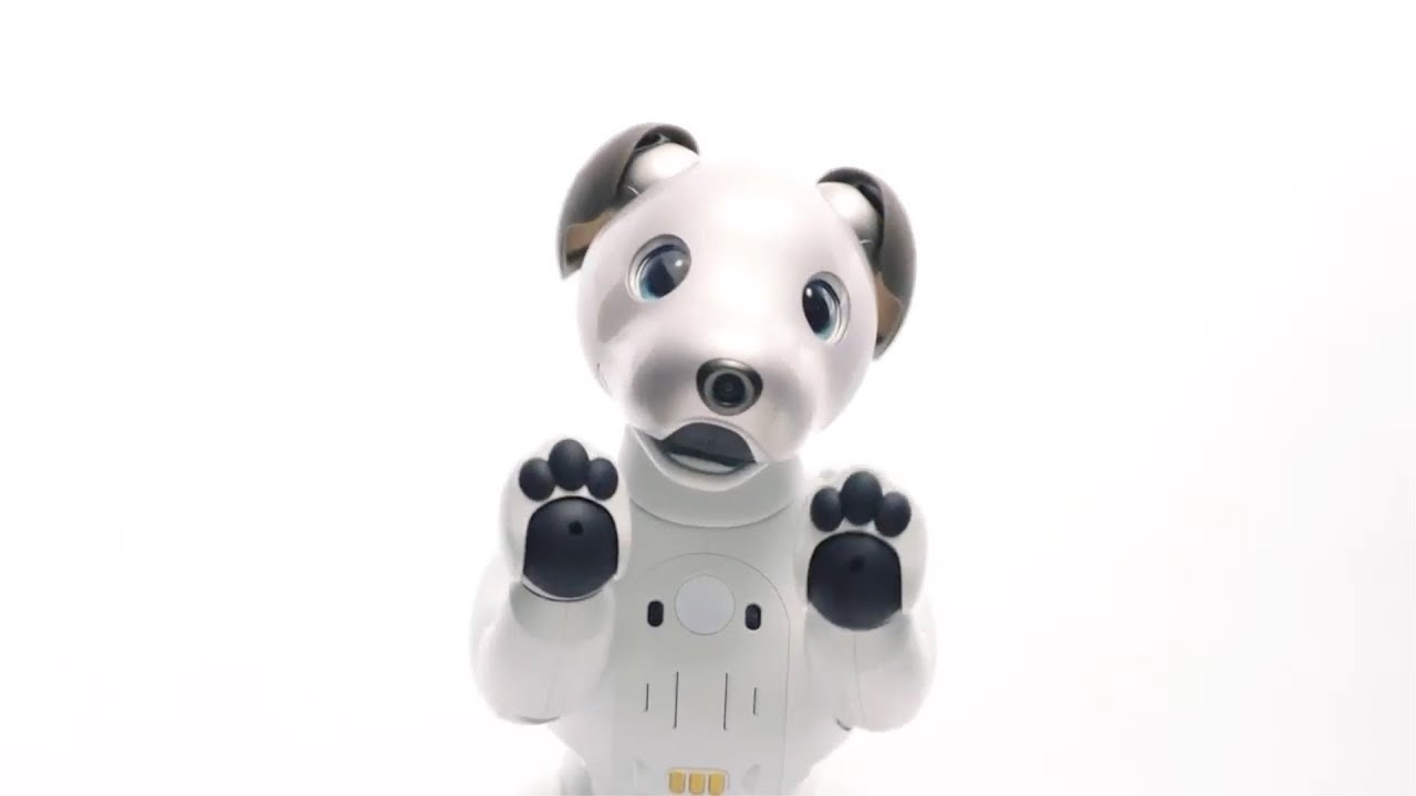 Sony's robot dog is Back after 10 years - Aibo