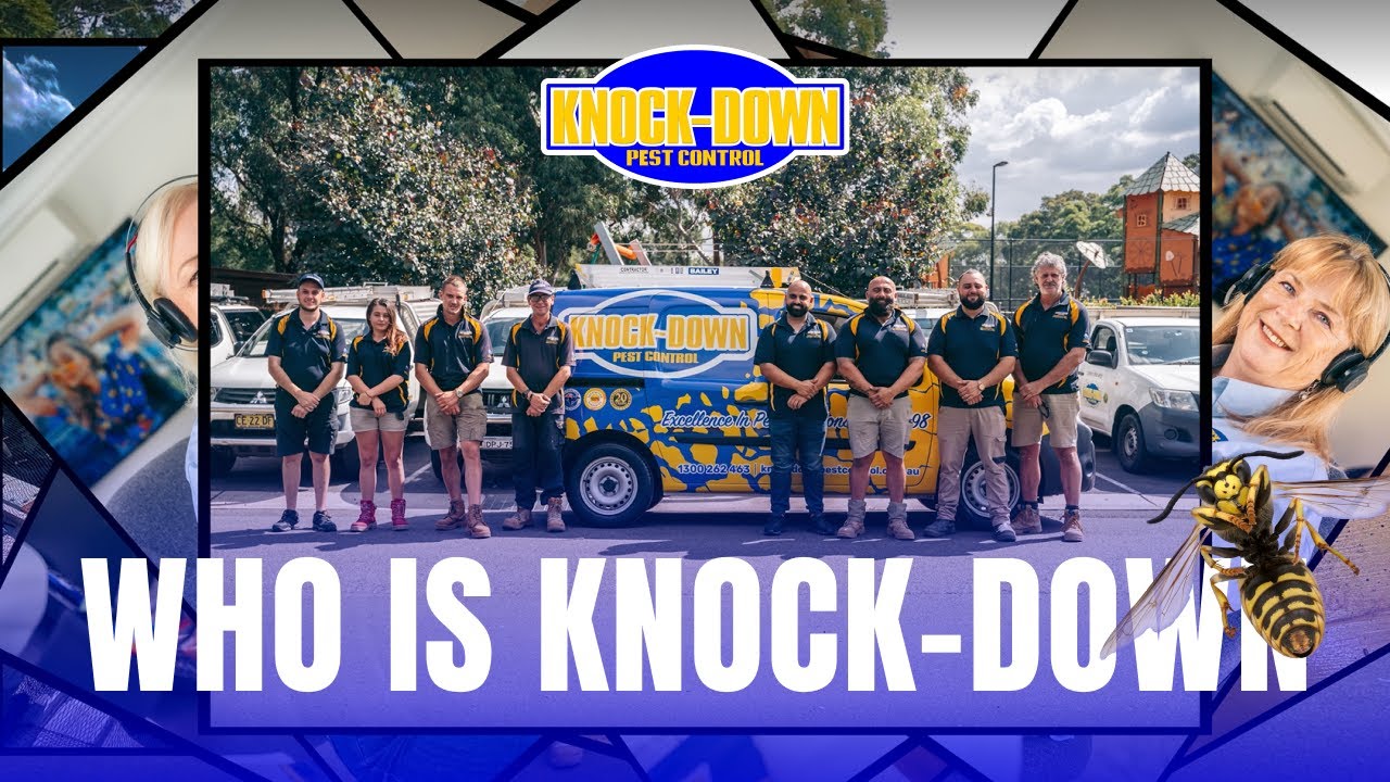 Who Is Knock-Down Pest Control Sydney? Leading In Pest Control Sydney