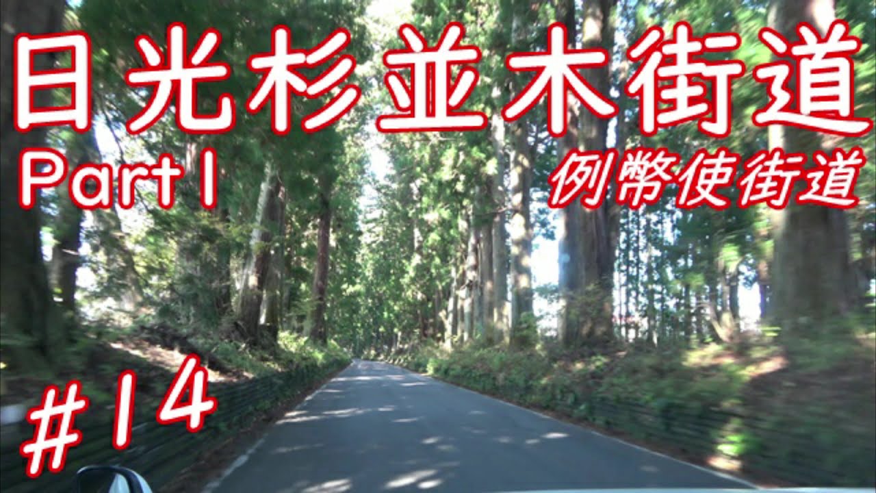 【日光杉並木街道】　日光例幣使街道杉並木　国道１２１号