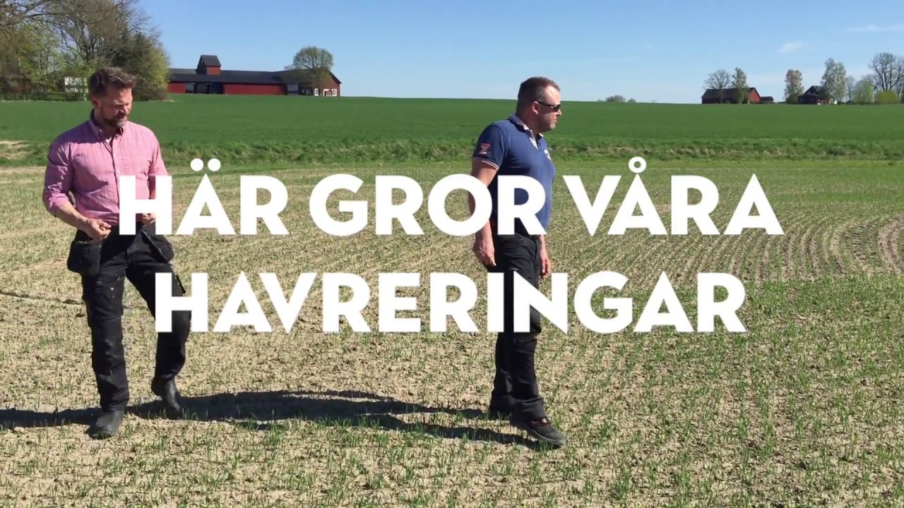 Frebaco &ndash;&nbsp;Havrets v&auml;g till kvarnen &ndash; del 2