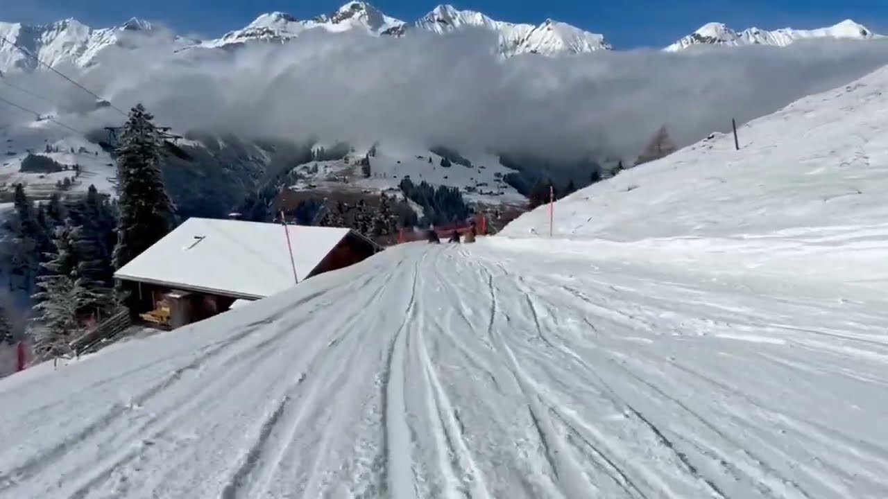 Schlitteln in Elsigen-Metsch | sledging in Elsigen-Metsch