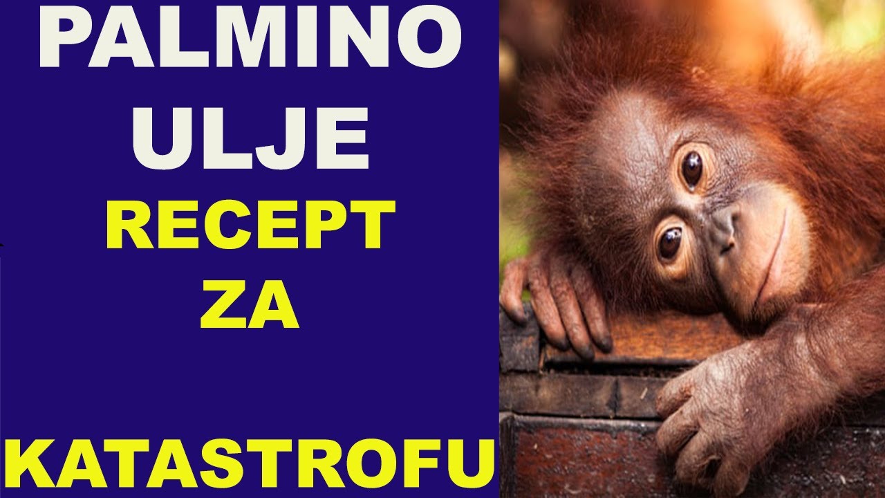 PALMINO ULJE recept za katastrofu/dr Bojana Mandić