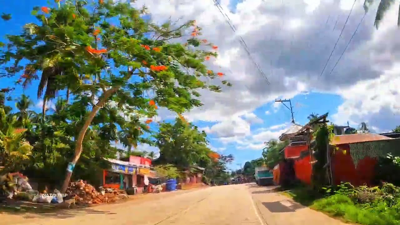 Road trip|Antequera Bohol 🇵🇭