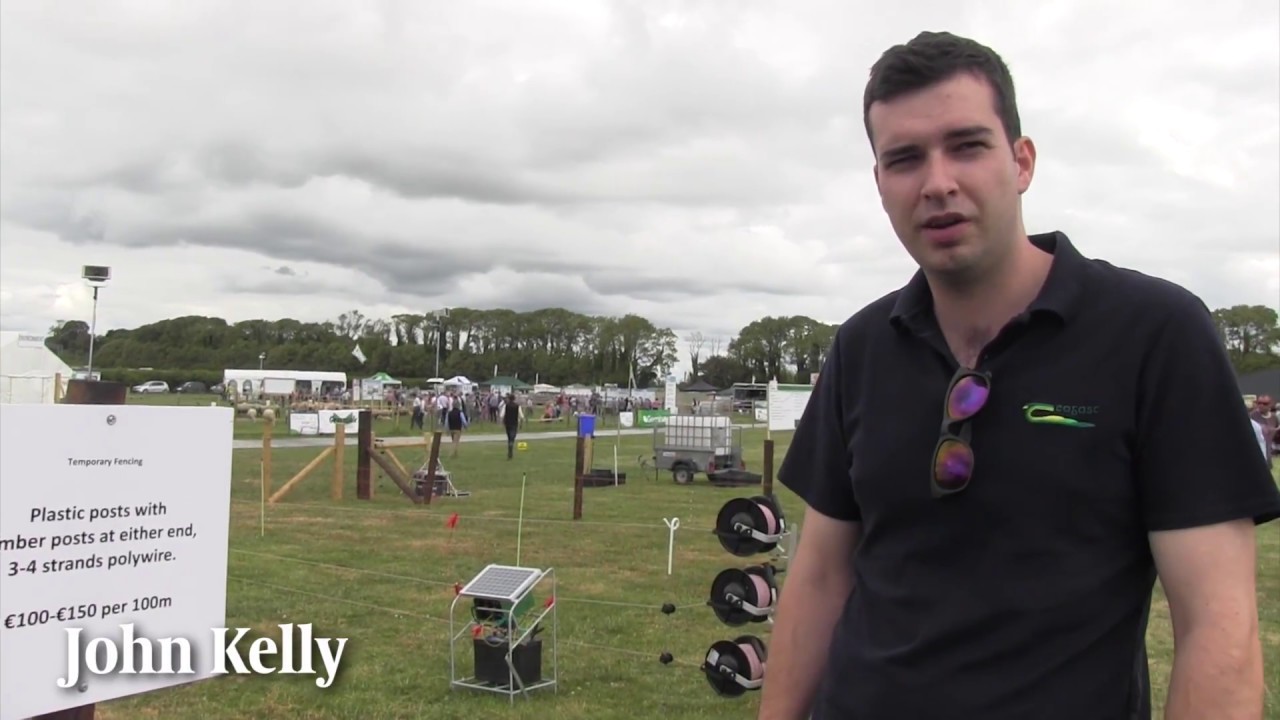 Fencing demo at Sheep 2018