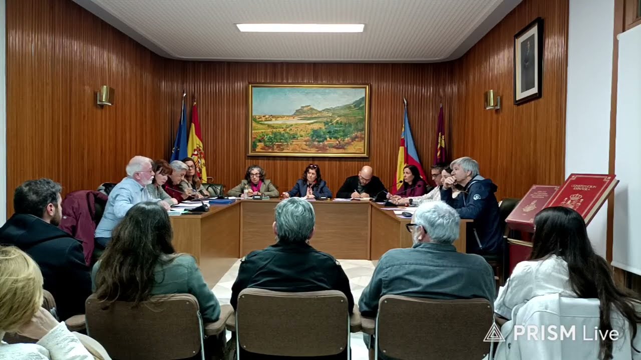 Ple ordinari de febrer 