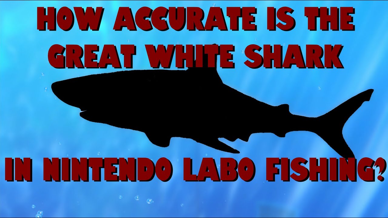 How accurate is the Great White Shark in Nintendo Labo Fishing? | White_Pointer Gaming