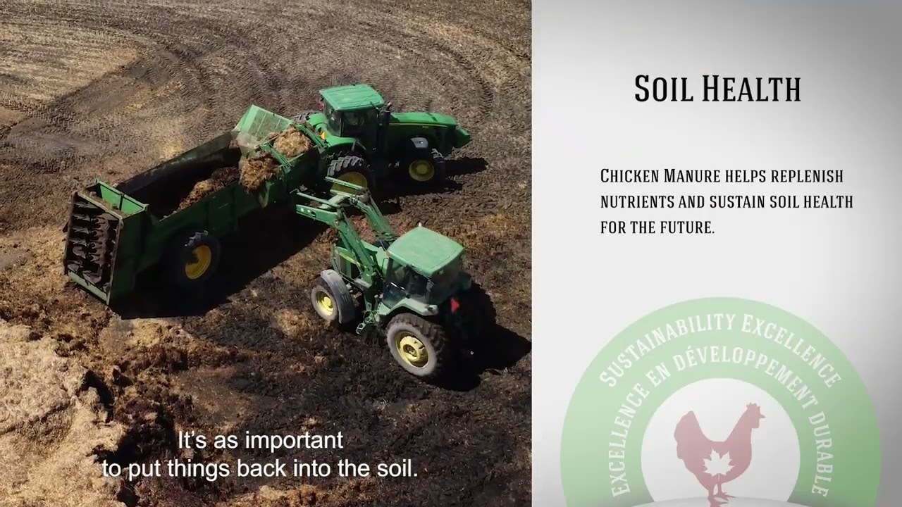 Canadian chicken farmers are committed to sustainability excellence: Saskatchewan example