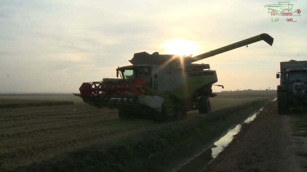 3 claas lexion 760 770 580 trebbiatura riso 2025 