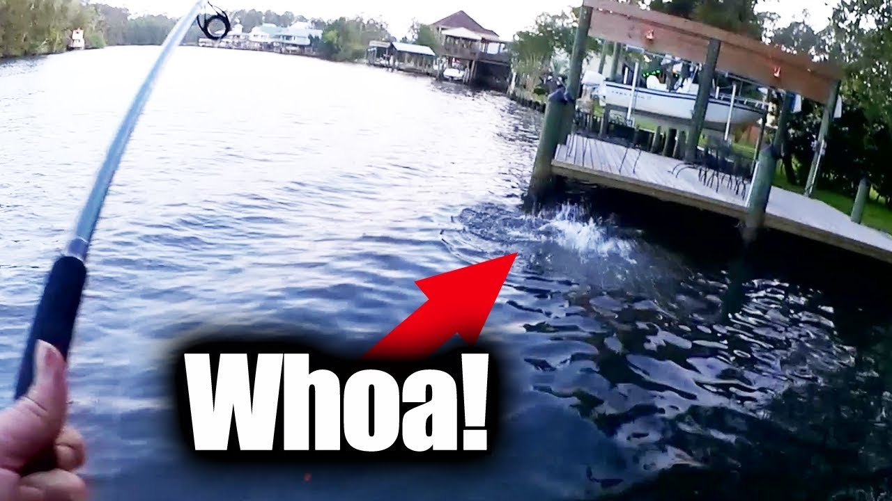 Easy River Fishing with Worms & Shrimp - Big Fish From The Bank!