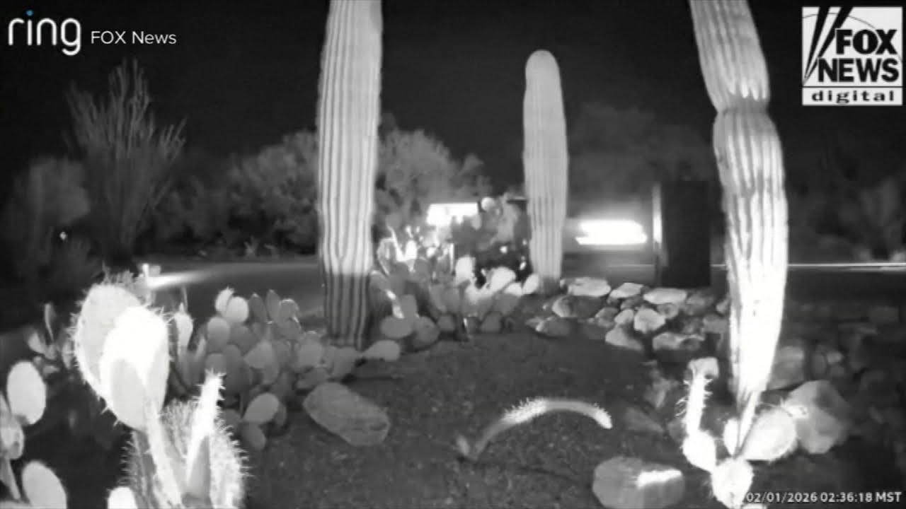 Nancy Guthrie latest: Sheriff investigating ring camera from 2.5 miles away
