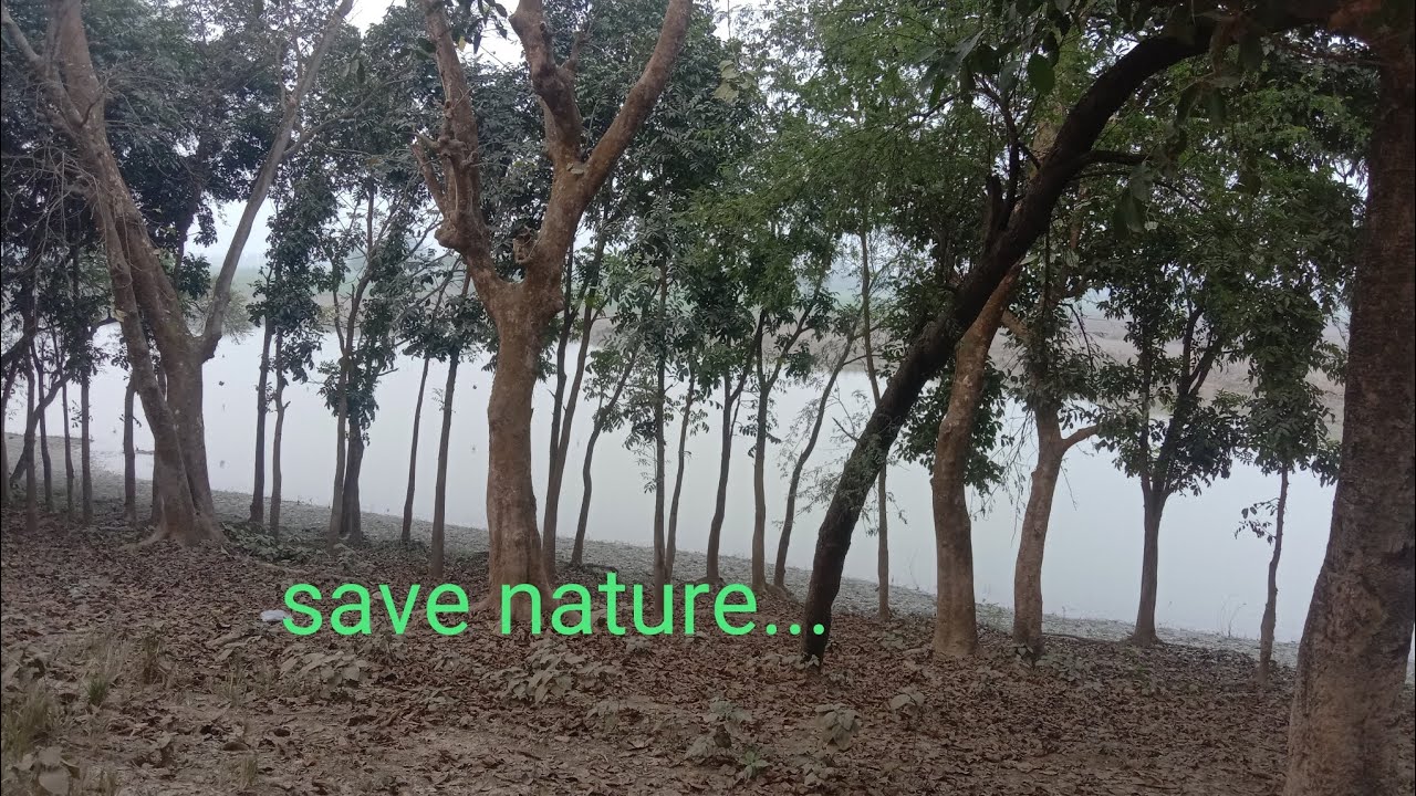 Natural zone 