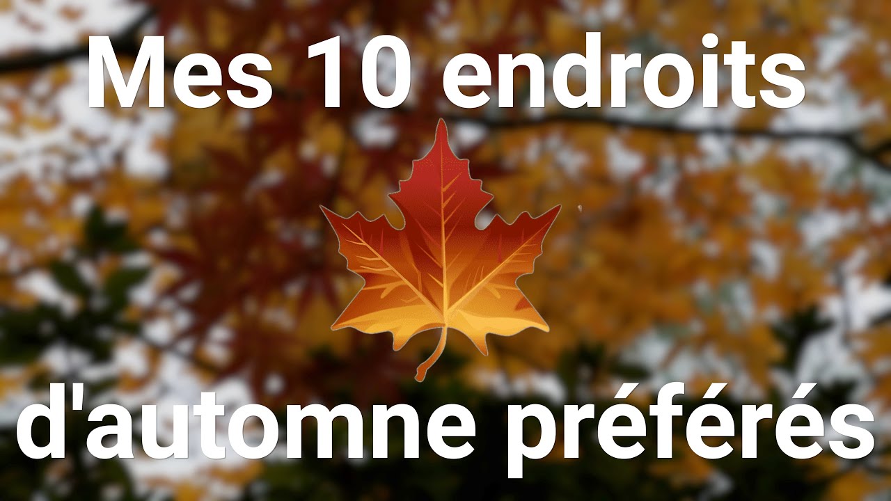 Mes 10 spots automne préférés au Japon [Idées Voyage en novembre]