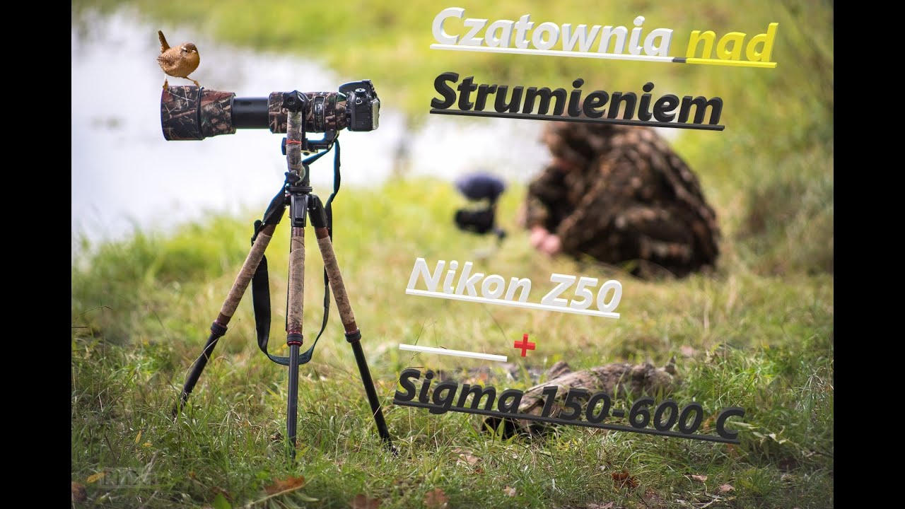 Czatownia nad strumieniem. (  Fotografia Przyrodnicza )