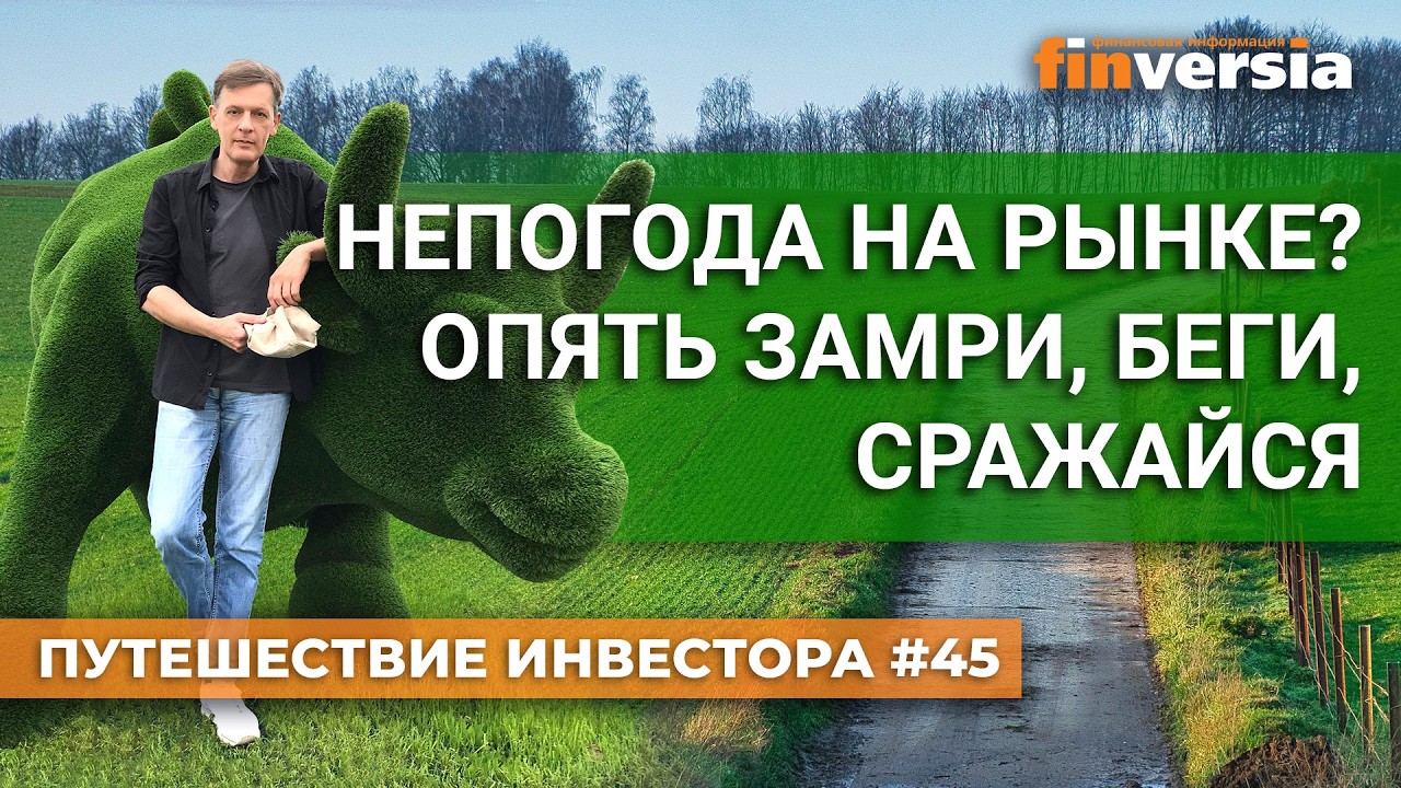 Непогода на рынке? Опять замри, беги, сражайся | Ян Арт. Finversia