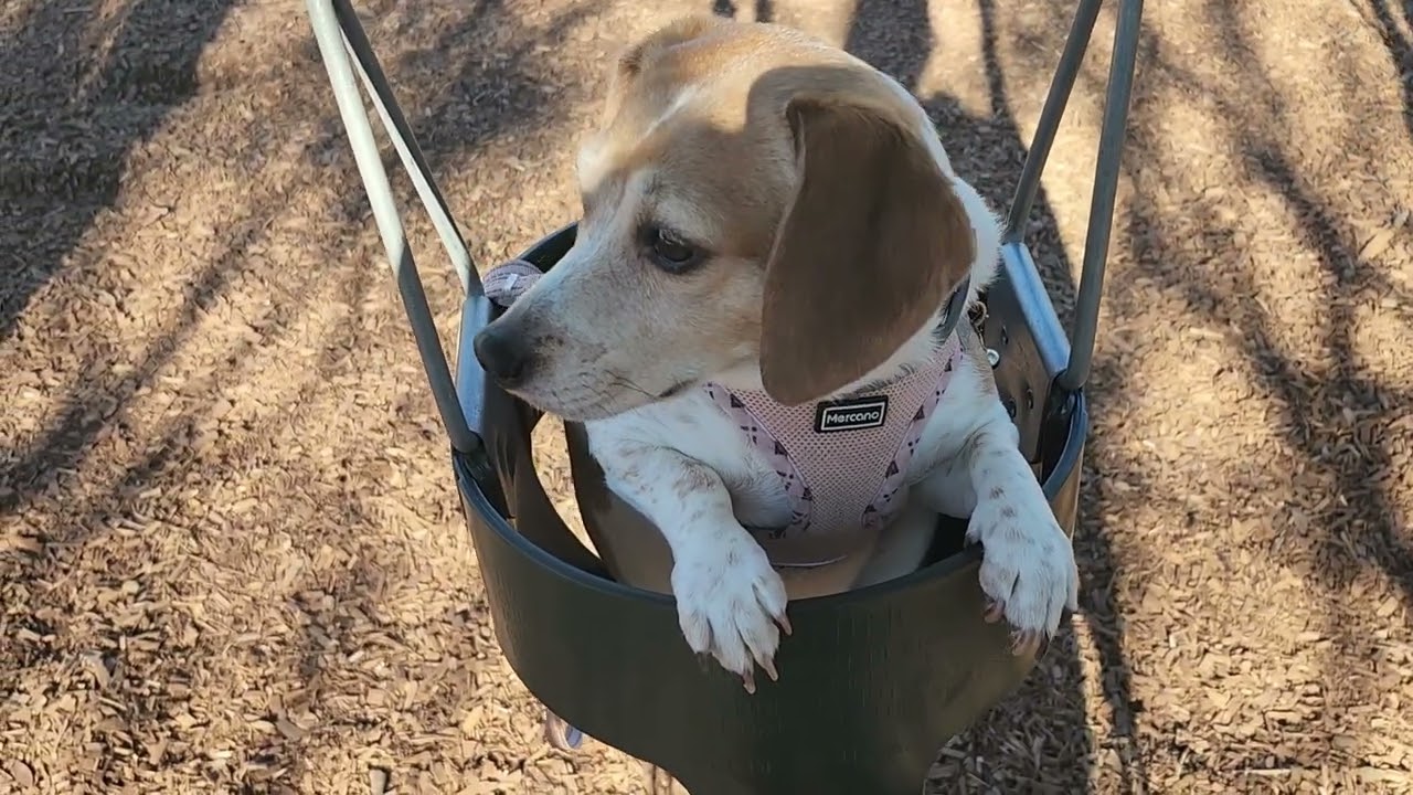Walk in the Park. 