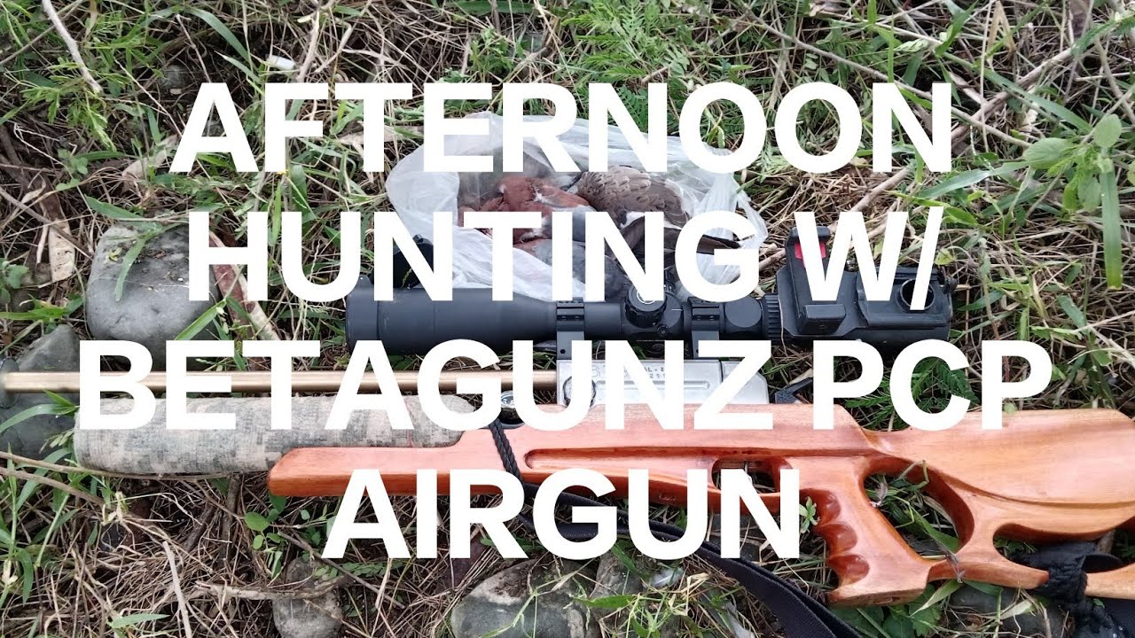 CORNFIELD PESTCONTROL HUNTING USING BETAGUNZ PCP w/EMARS GAME#boyet39mixvlog #pestcontrol #hunting 