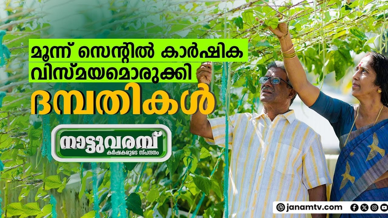 മൂന്നു സെൻ്റില്‍ കാര്‍ഷിക വിസ്മയമൊരുക്കി ദമ്പതികള്‍ | നാട്ടുവരമ്പ് | EPISODE- 297 | JANAM TV