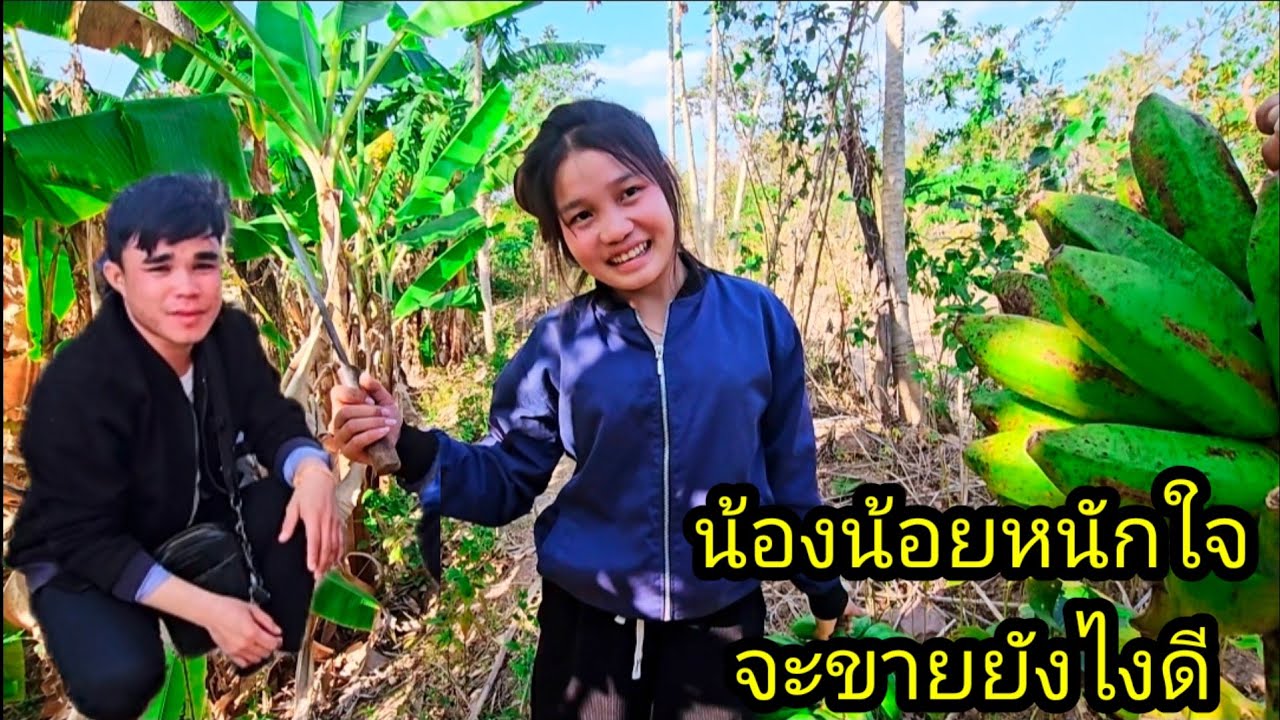 น้องน้อยหนักใจ ตัดสินใจไม่ถูก จะขายก็ยังไงอยู่ 10 มกราคม ค.ศ. 2026