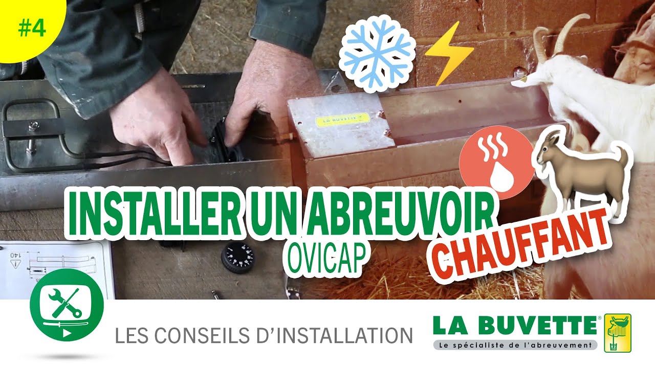 Installer un abreuvoir chauffant OVICAP