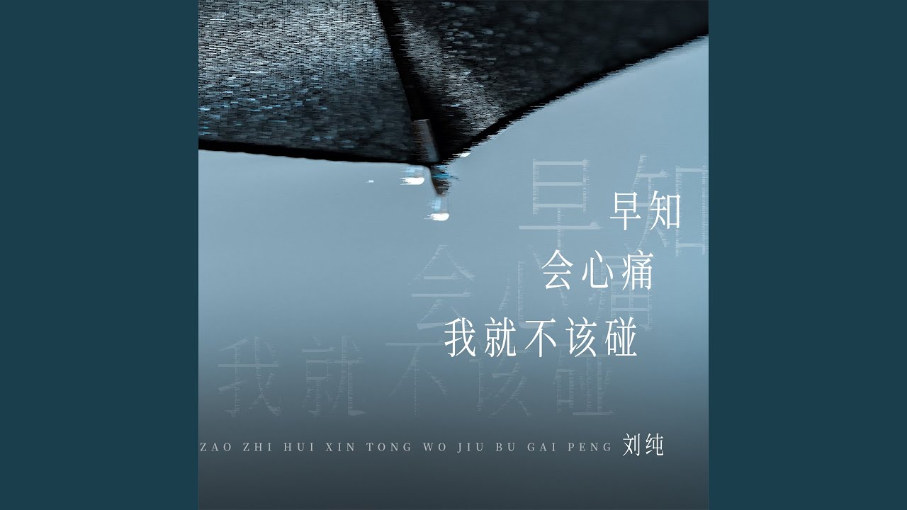 早知会心痛我就不该碰 (男声版)