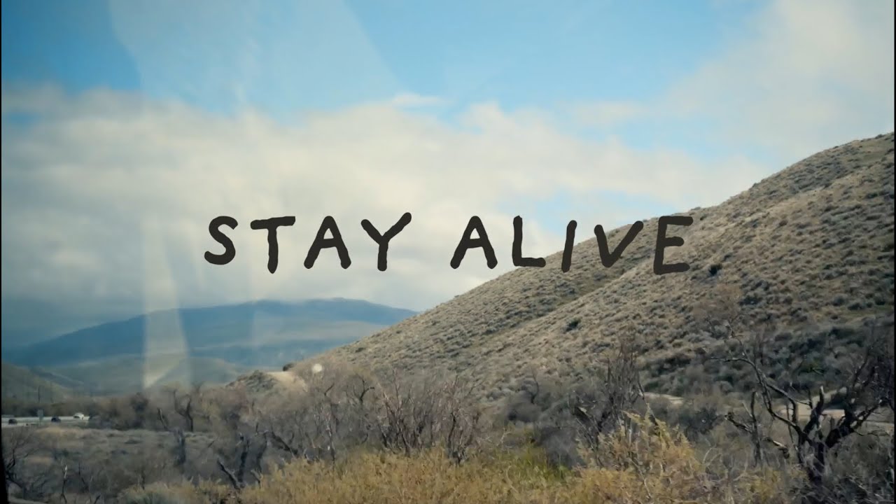 The Square - Stay Alive (Official Visualizer)