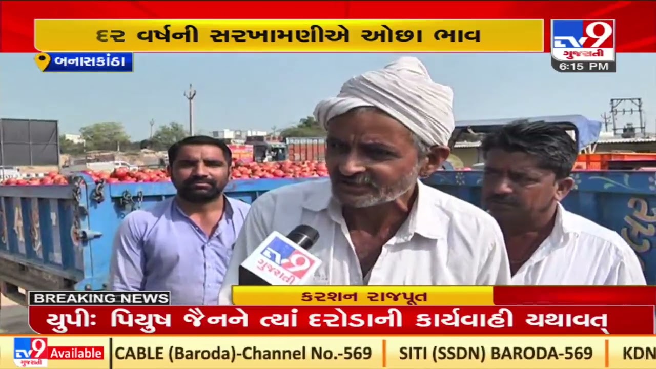 Banaskantha pomegranate farmers to face hard time this winter season |Gujarat |Tv9GujaratiNews
