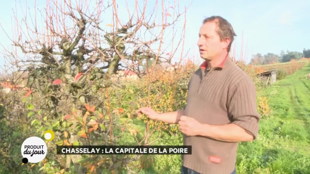 Chasselay : la capitale de la poire