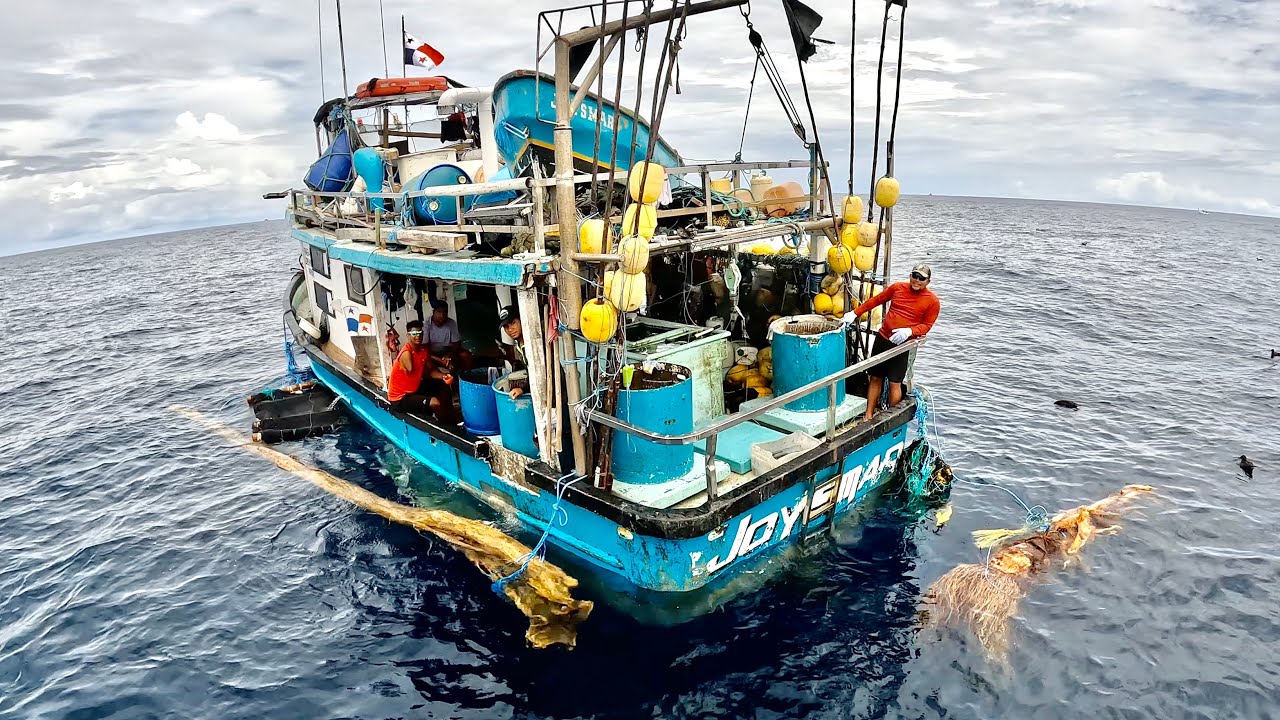 Мы нашли 7 человек на сумасшедшей лодке, выживших в океане! (Вылов, очистка и приготовление тунца)