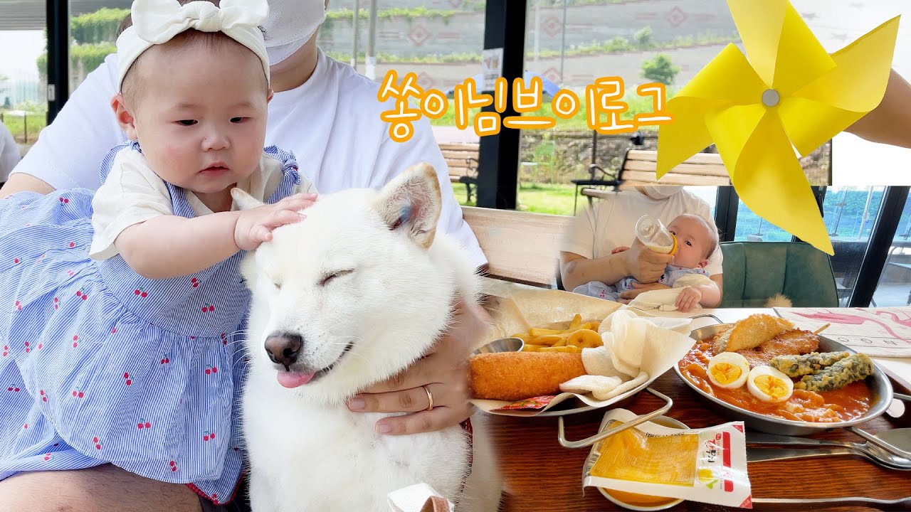 강아지 치킨 먹방ㅣ애견카페에서 날뛰는 강아지ㅣ6개월 아기와 바람개비 만들며 놀아주기 ㅣ알로하디디 애견카페 l 6개월 아기 브이로그ㅣ산책하다 뻗은 강아지ㅣ상추뜯어먹는 곰이
