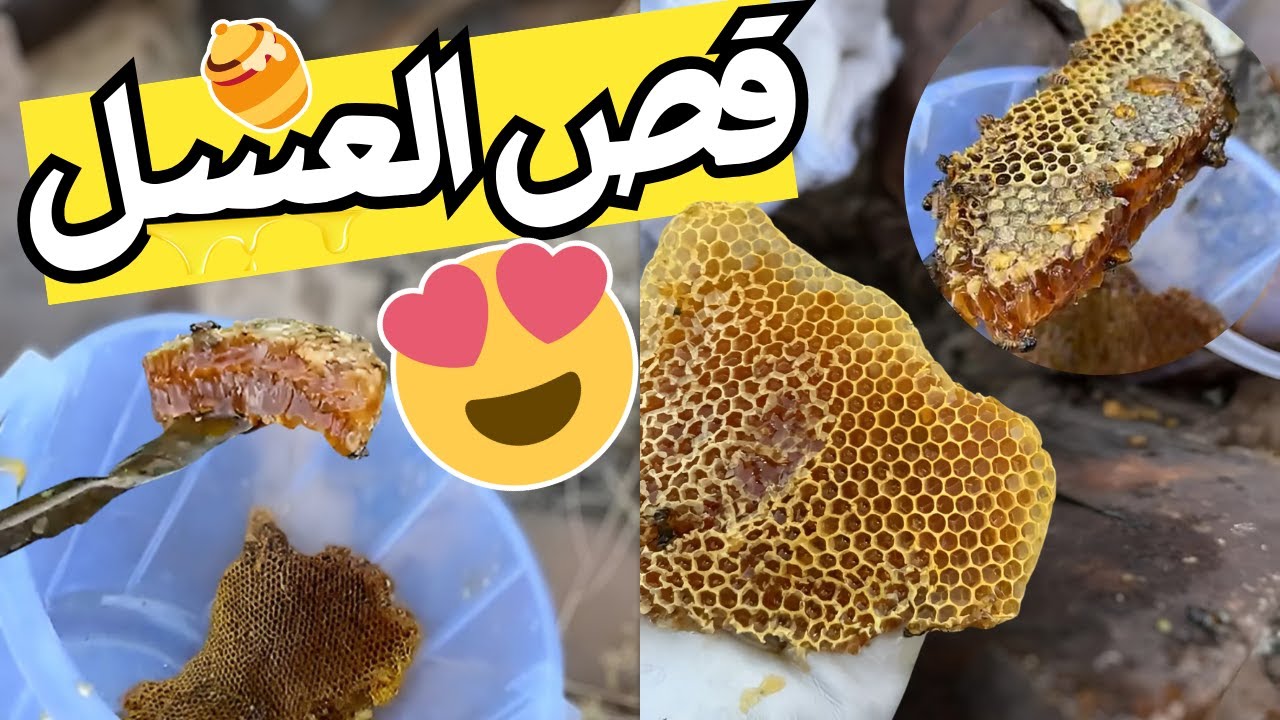 اخيرًا مرحلة قص العسل 😍🍯