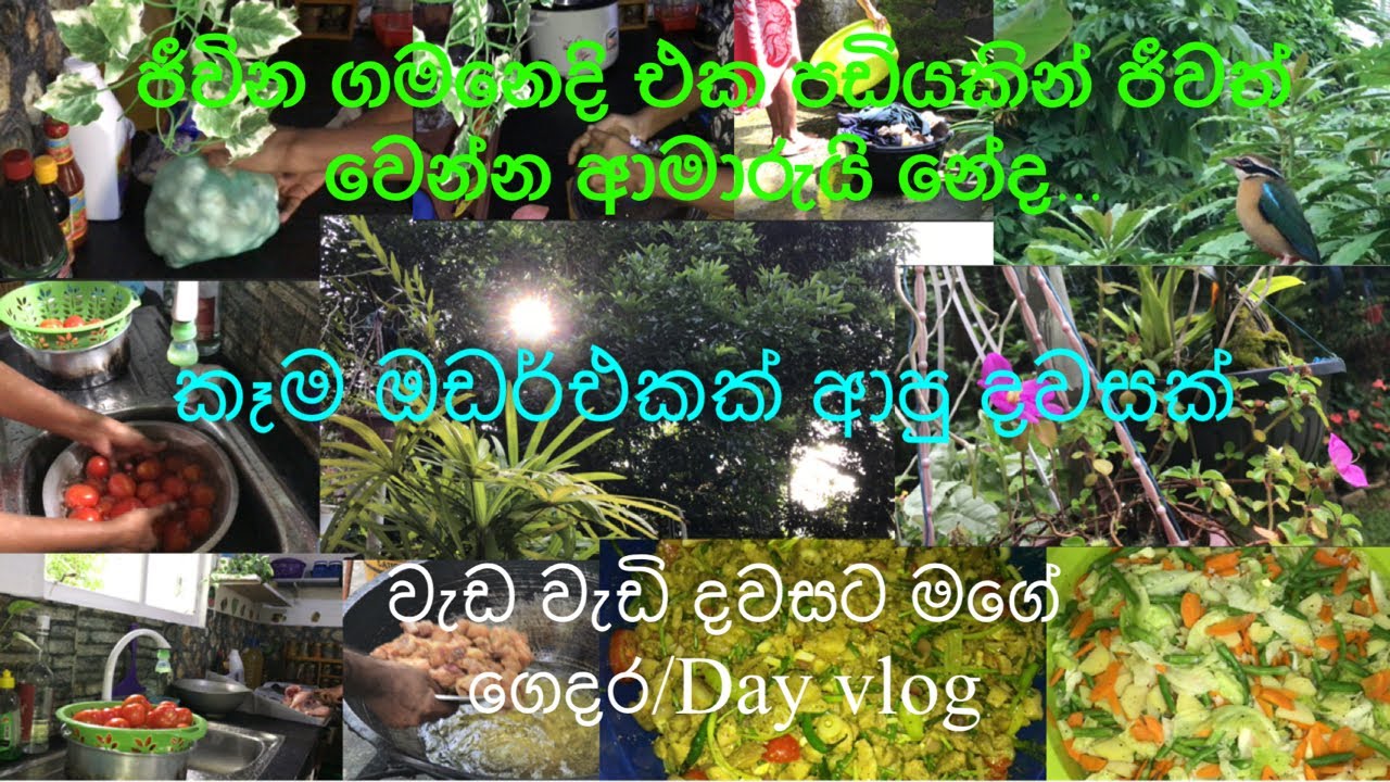 තවත් ලස්සනම දවසක්🏠💁🏻‍♀️