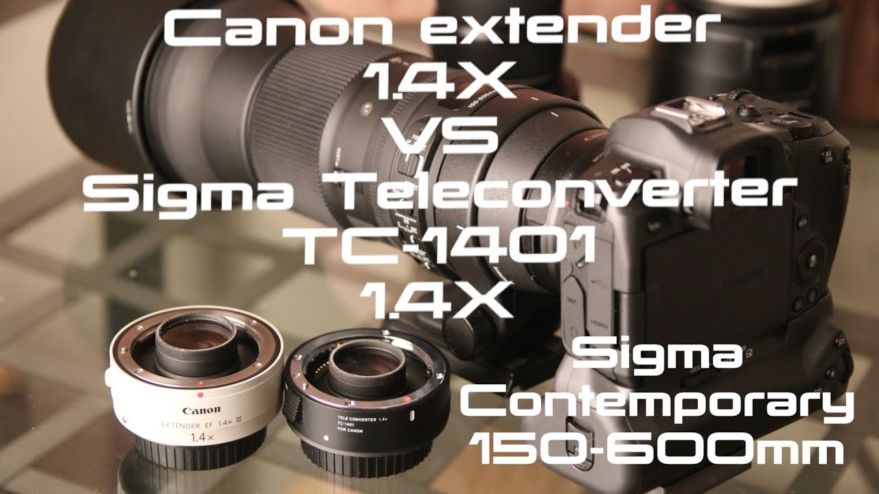 Sigma TC-1401 Teleconverter vs Canon Extender 1.4X Sigma 150-600mm Contemporary