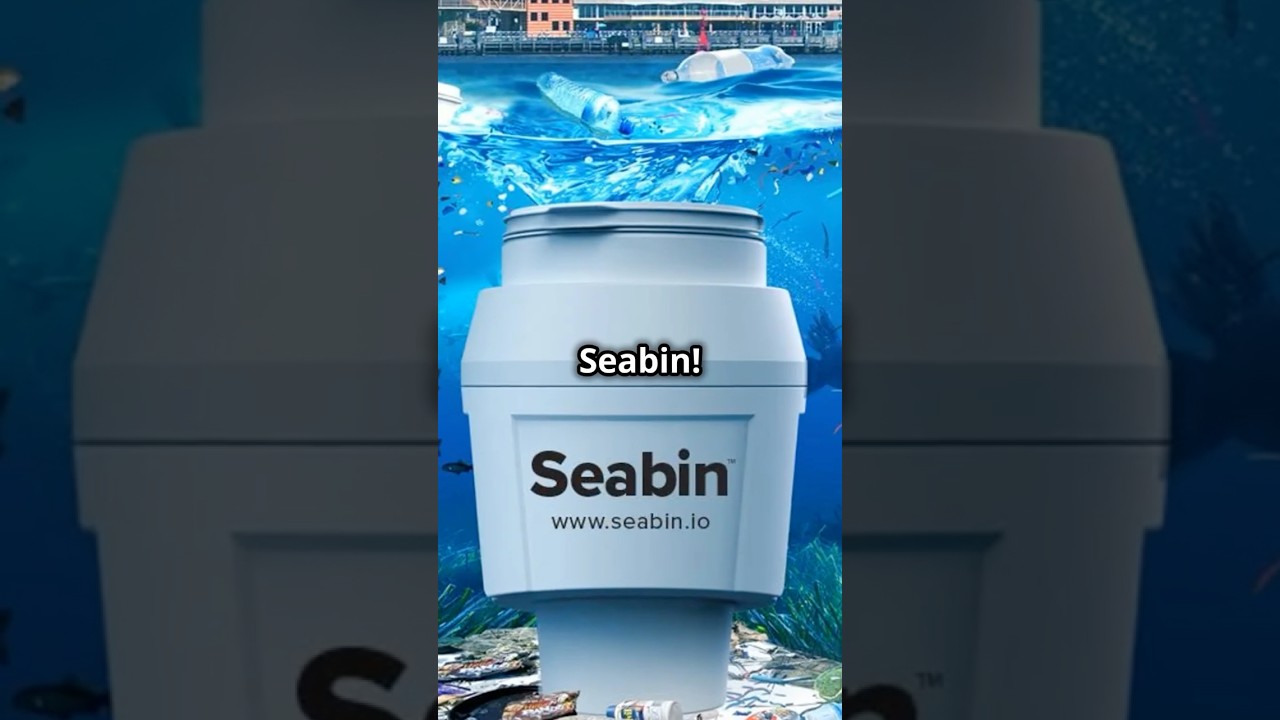 Seabin: The Ocean's Cleanup Hero!
